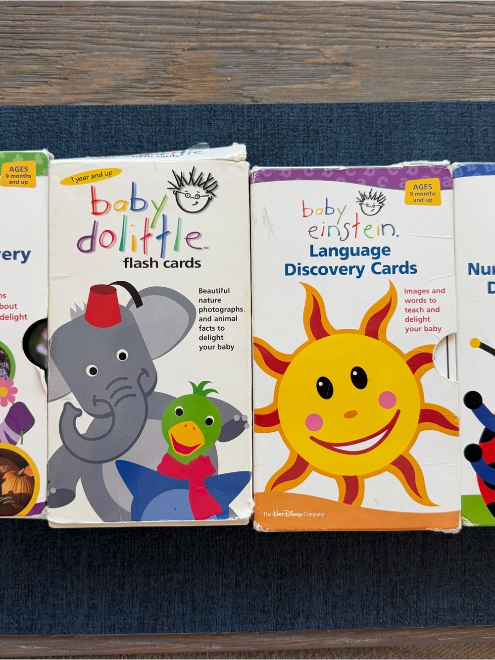 Baby Einstein Discovery Cards -